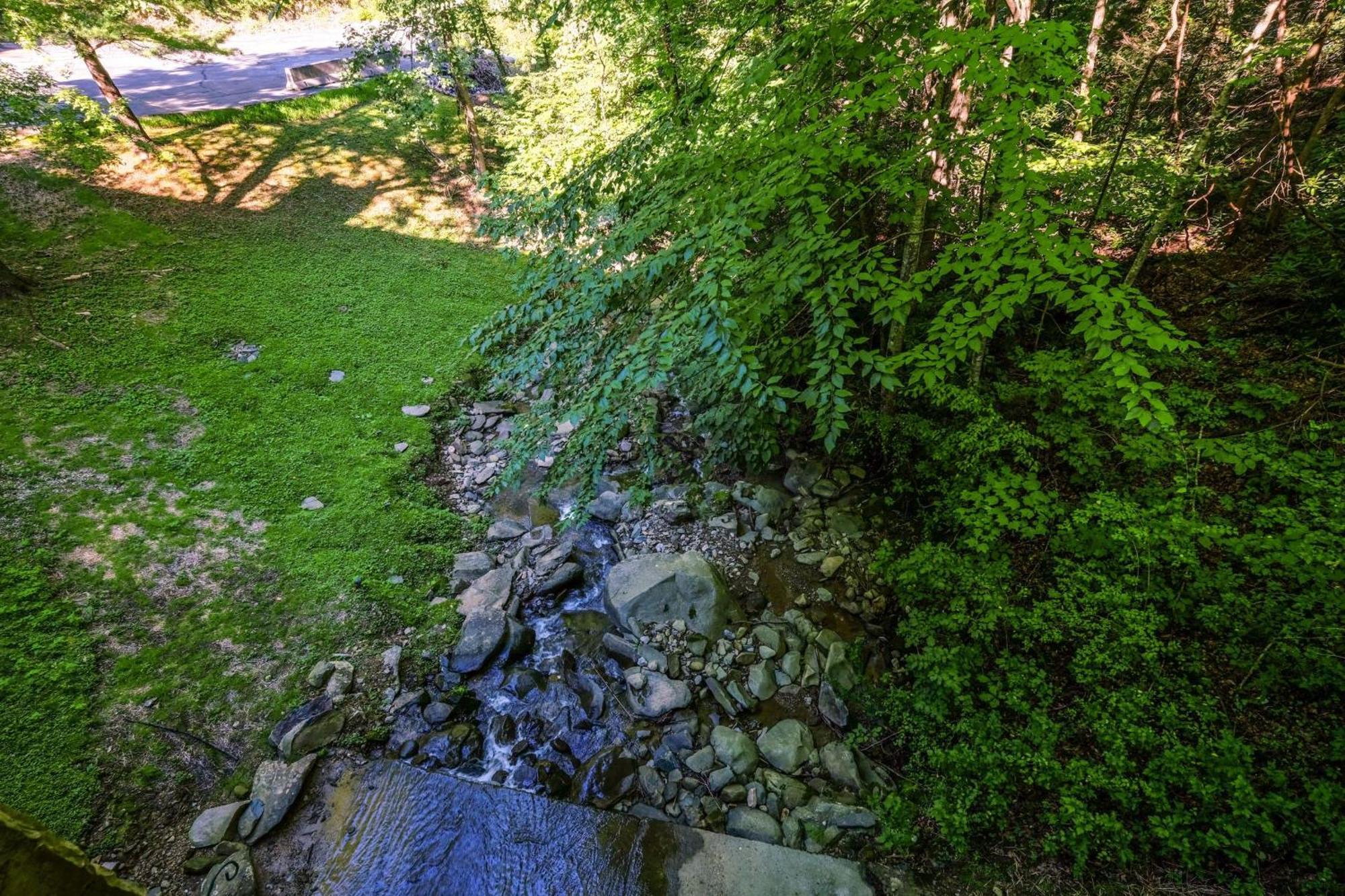 הוילה גטלינבורג Bear Creek 167 מראה חיצוני תמונה